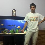  ,   Ulugbek, 34 ,   ,   , c 
