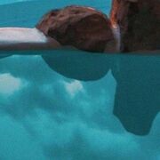 ���������� �����-���������, ���� ������� ������, 56 ���, ������������ ��� ������, ����� � ���������