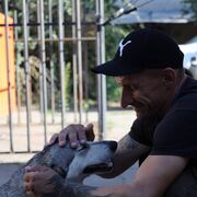 ���������� ������, ���� ������� ������, 42 ����, ������������ ��� ������, ����� � ���������, c�������� ���������