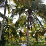 ���������� ������, ���� ������� ��, 51 ���, ������������ ��� ������, ����� � ���������, c�������� ���������