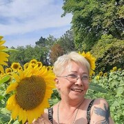  ,   , 65 ,   ,   , c 