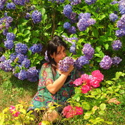  ,   , 46 ,   ,   , c 