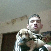  ,   , 31 ,   ,   , c 