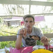 ,   , 43 ,  