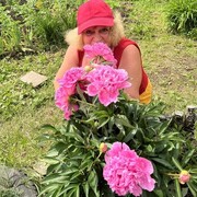  ,   , 65 ,   ,   