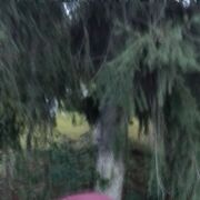 ���������� ���������, ���� ������� ��������, 46 ���, ������������ ��� ������, ����� � ���������, c�������� ���������, ���������