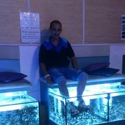 ���������� ����, ���� ������� ����, 37 ���, ������������ ��� ������, ����� � ���������, c�������� ���������