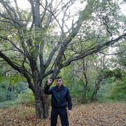 ���������� ������-��-����, ���� ������� �������, 48 ���, ������������ ��� ������, ����� � ���������, c�������� ���������