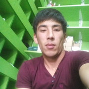 ���������� �������, ���� ������� SHERZOD, 33 ����, ������������ ��� ������, ����� � ���������, c�������� ���������