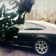 ���������� �����-���������, ���� ������� ����, 36 ���, ������������ ��� ������, ����� � ���������, c�������� ���������