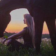 ���������� ������, ���� ������� �����, 28 ���, ������������ ��� ������, ����� � ���������