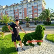 ���������� �������, ���� ������� �����, 39 ���, ������������ ��� ������, ����� � ���������, c�������� ���������, ���������