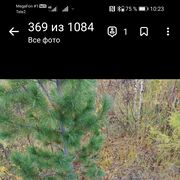   ,   , 53 ,   c 