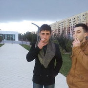 ���������� ����, ���� ������� Elsen, 38 ���, ������������ ��� ������