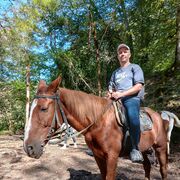 ���������� ���������, ���� ������� �����, 33 ����, ������������ ��� ������, ����� � ���������, c�������� ���������