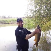  ,   , 36 ,   