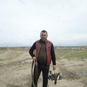 ���������� ������, ���� ������� �����, 36 ���, ������������ ��� ������, ����� � ���������