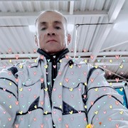  Praha,   Vova, 46 ,   ,   , c 
