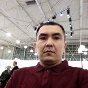 ���������� ������-��-����, ���� ������� Uzb bek, 30 ���, ������������ ��� ������, ����� � ���������