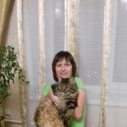 ���������� �������, ���� ������� ������, 48 ���, ������������ ��� ������, ����� � ���������, c�������� ���������