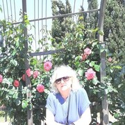  -,   , 62 ,     , c 