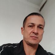  ,   Dava, 45 ,   ,   , 