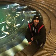 ���������� ������-��-����, ���� ������� ���������, 42 ����, ������������ ��� ������, ����� � ���������