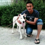 ���������� �������, ���� ������� Salim, 31 ���, ������������ ��� ������, ����� � ���������, c�������� ���������