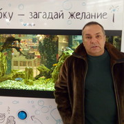  ,   , 66 ,   