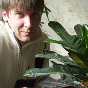  ,   , 40 ,   