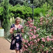 ���������� ����������, ���� ������� ��������, 49 ���, ������������ ��� c�������� ���������