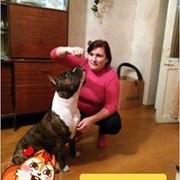  ,   , 54 ,  