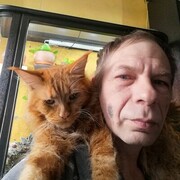 ���������� ������, ���� ������� ������, 50 ���, ������������ ��� ������, ����� � ���������