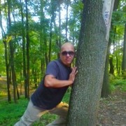 ���������� ���������, ���� ������� ����, 44 ����, ������������ ��� ������, ����� � ���������, c�������� ���������