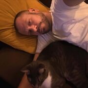 ���������� �����������, ���� ������� Ѹ��, 37 ���, ������������ ��� ������, ����� � ���������, c�������� ���������