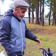  ,   Alexander, 65 ,     , c 
