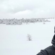 ���������� �����������, ���� ������� �������, 41 ���, ������������ ��� ����� � ���������, c�������� ���������, ���������