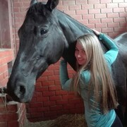 ���������� ������, ���� ������� ����, 27 ���, ������������ ��� ������, ����� � ���������, c�������� ���������, ���������