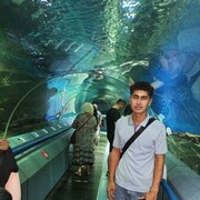  ,   , 28 ,   ,   