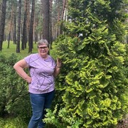 ���������� ������, ������� �������, 62