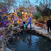 ���������� �����-���������, ���� ������� �����, 35 ���, ������������ ��� ������, ����� � ���������, c�������� ���������, ���������