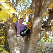 ���������� ���������, ���� ������� ����, 44 ����, ������������ ��� ������, ����� � ���������, c�������� ���������, ���������