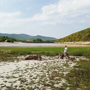 ���������� ���������, ���� ����� ������, 22 ����, ������������ ��� ������, c�������� ���������, ���������