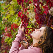 ���������� ������, ���� ������� ����������, 42 ����, ������������ ��� ������, ����� � ���������, c�������� ���������