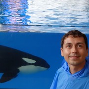 ���������� ���������, ���� ������� �����, 46 ���, ������������ ��� ������, ����� � ���������, c�������� ���������