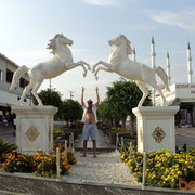  ,   , 37 ,   