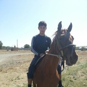  ,   Sulta, 31 ,   