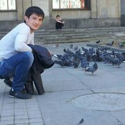 ���������� ������������, ���� ������� �������, 33 ����, ������������ ��� ������, ����� � ���������