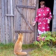 ���������� ������, ������� ������, 71