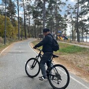 ���������� ��������, ������� �������, 42